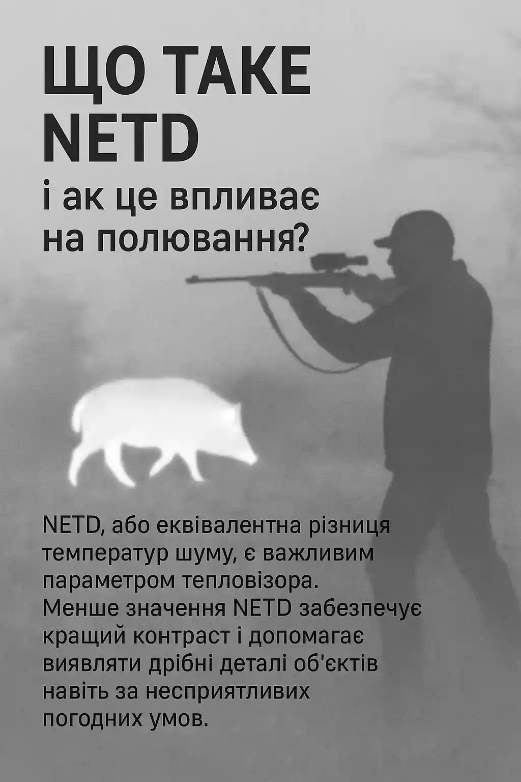 Що таке NETD?